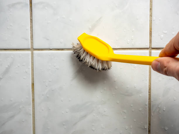 Best Fast Mold Removal  in Doney Park, AZ