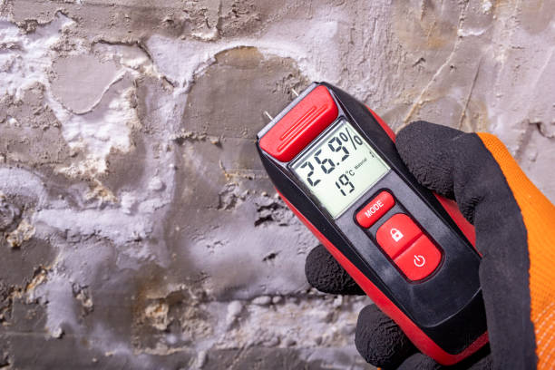 Best Office Mold Removal Services  in Doney Park, AZ