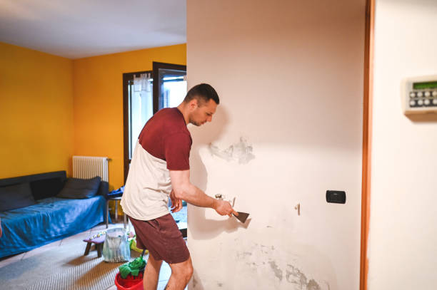Best Attic Mold Removal  in Doney Park, AZ